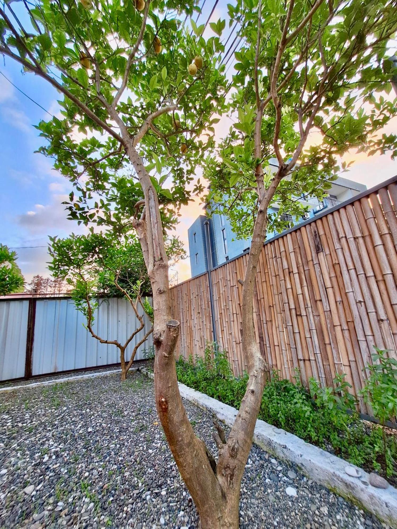 House In Gonio-Kvariati Economy Class Ngoại thất bức ảnh
